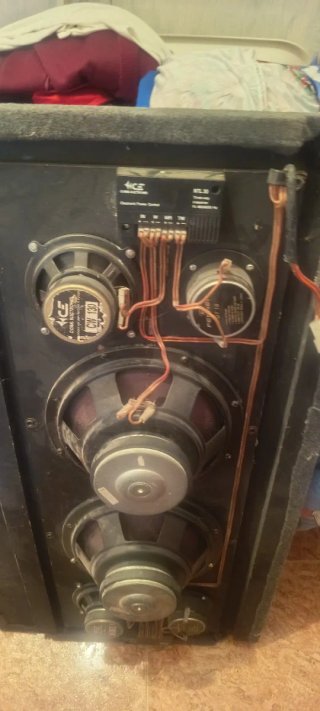 Altavoces ACE Negros