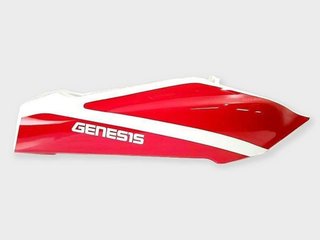 Tapa lateral derecha Yamaha FZR 1000 EXUP (1991-19