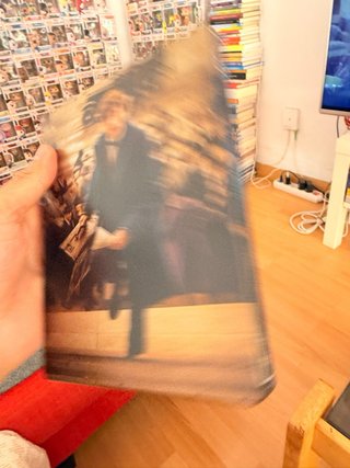 Animales Fantásticos Caja metálica (Steelbook)