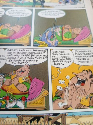 Asterix and the Soothsayer