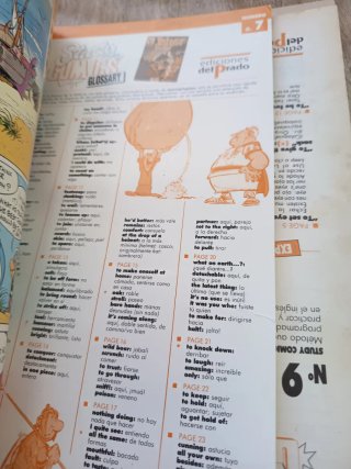 Asterix and the Soothsayer