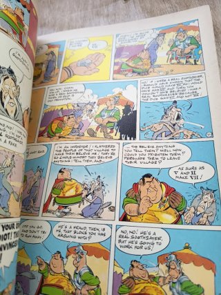 Asterix and the Soothsayer