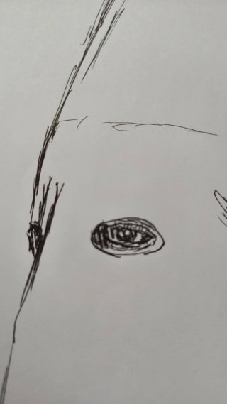 Dibujo original "Mirada del Nazareno"