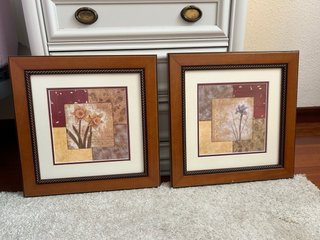2 Cuadros Decorativos