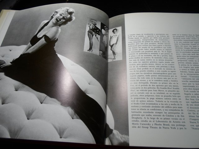 MARILYN-UNA BIOGRAFIA DE NORMAN MAILER-IMAGENES ME