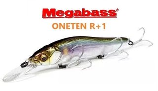 5 Señuelos de pesca jerk bait