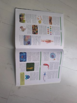 BIOLOGIA Y GEOLOGIA 3 ESO CONSTRUYENDO MUNDOS