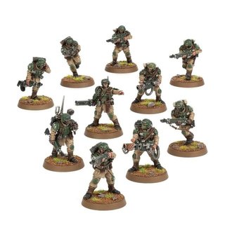 10 Tropas de choque de Cadia en matriz