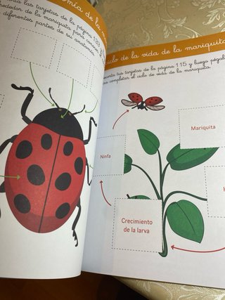 Gran cuaderno Montessori de ciencias