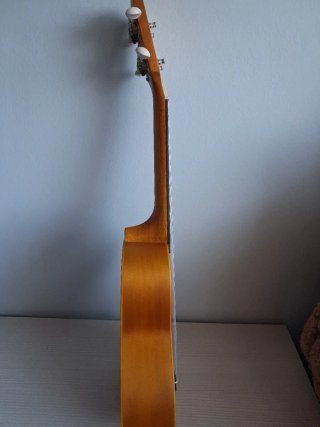Ukelele yellow con funda