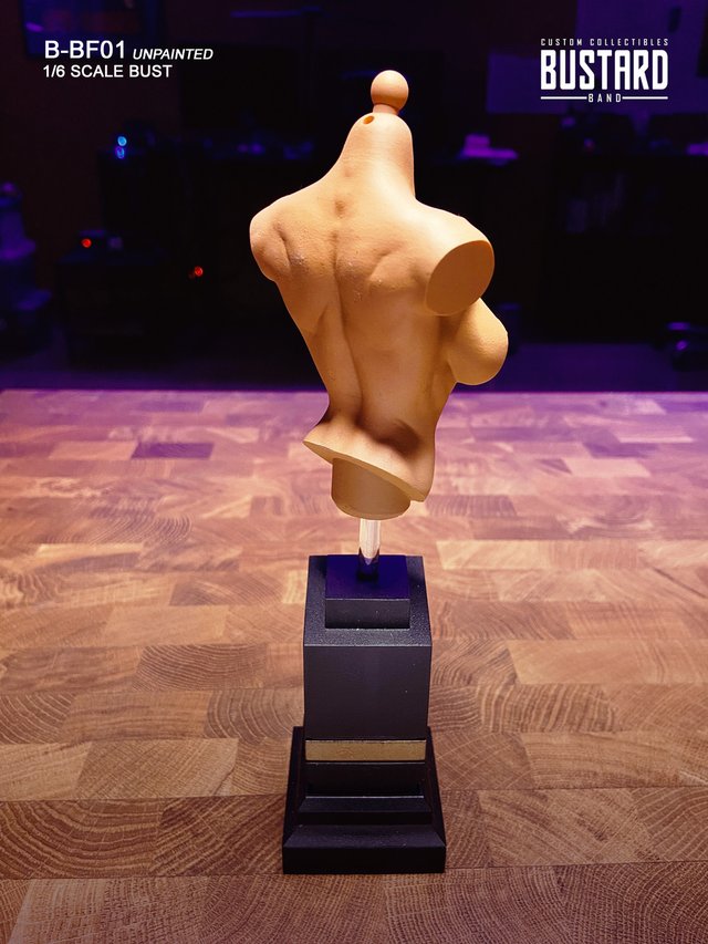 Exclusive Female Bust 1/6 (D Cup) Resin HD