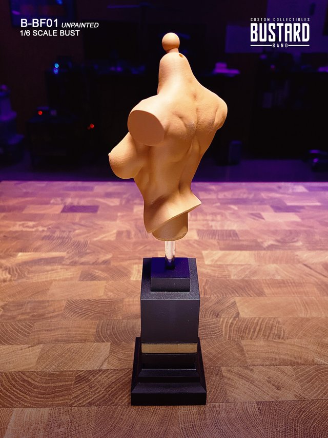 Exclusive Female Bust 1/6 (D Cup) Resin HD