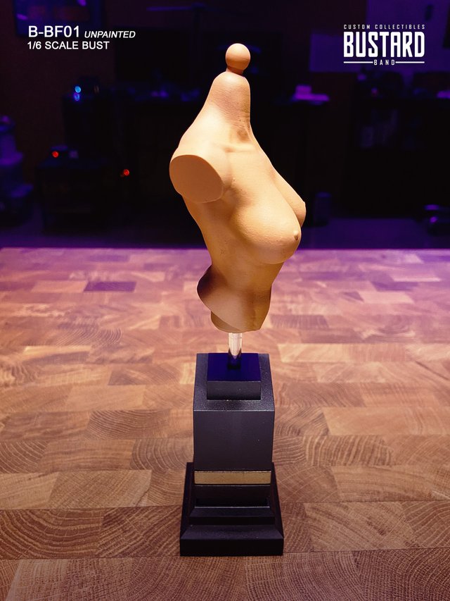 Exclusive Female Bust 1/6 (D Cup) Resin HD