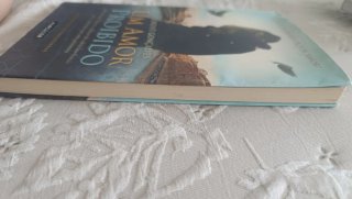 Um Amor Proibido (Portuguese Edition)