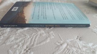 Um Amor Proibido (Portuguese Edition)