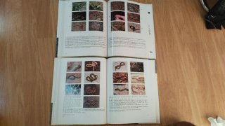 Snakes of the United States and Canada.2 Libros