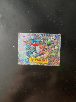 Cromo Panini 00