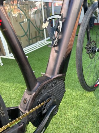 Focus Jarifa 2019 Eléctrica