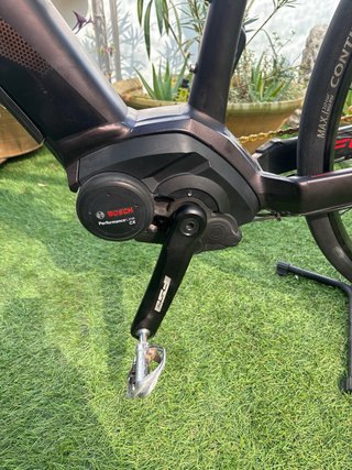 Focus Jarifa 2019 Eléctrica