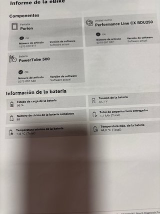 Focus Jarifa 2019 Eléctrica