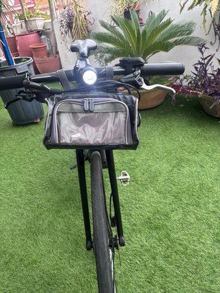 Focus Jarifa 2019 Eléctrica. Talla M