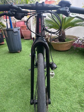 Focus Jarifa 2019 Eléctrica. Talla M