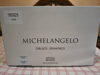 Libro Arte Dibujos Michelangelo Artika