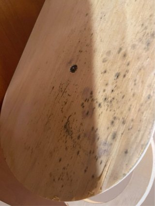Comedero triple para gatos /perros madera y metal