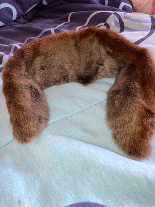 Cuello de pelo para capucha