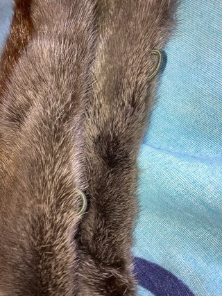 Cuello de pelo para capucha
