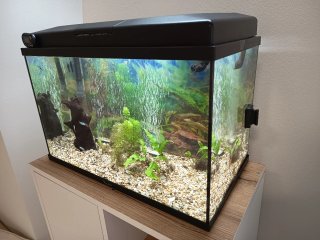 Acuario 55x30x35 cm