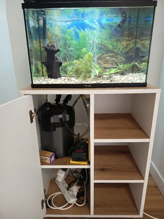 Acuario 55x30x35 cm