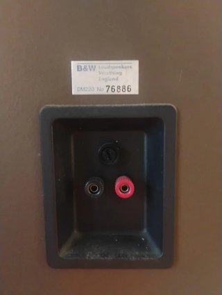 Par de Altavoces B&W DM220