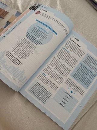Libro de texto talentum 1 eso  Valores