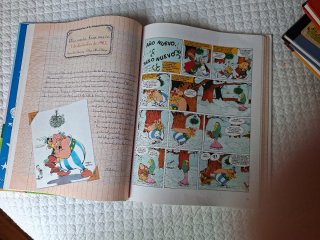 Astérix y lo nunca visto