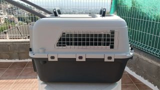Transportín para Perro Gris y Blanco
