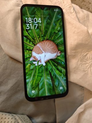 Xiaomi Redmi 15C 128GB Verde