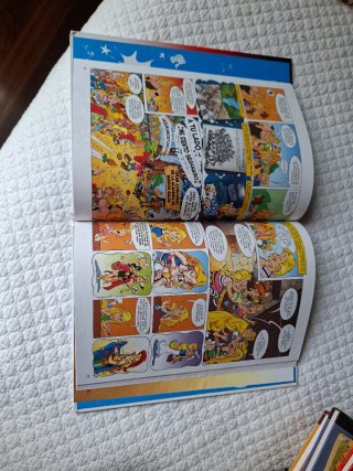 El aniversario de Astérix y Obélix, El libro de...