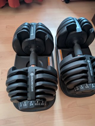 Par Mancuernas Ajustables Avalon Gear 2.5-24kg