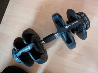 Par Mancuernas Ajustables Avalon Gear 2.5-24kg