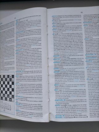 Diccionario Avanzado Primaria. Lengua española