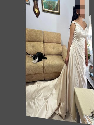 Vestido de Novia Pronovias Perla Beige