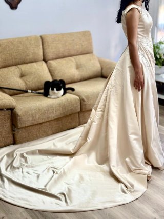 Vestido de Novia Pronovias Perla Beige