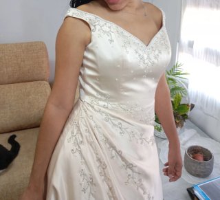 Vestido de Novia Pronovias Perla Beige