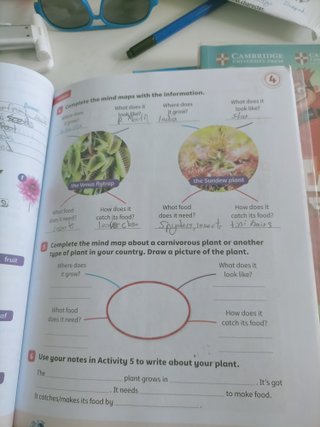 LIFE ADVENTURES BOOK 2. Libro y cuaderno.