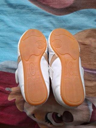 Zapatillas Taekwondo Talla 31