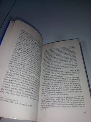Problema del lenguaje en la obra de Wittgenstein