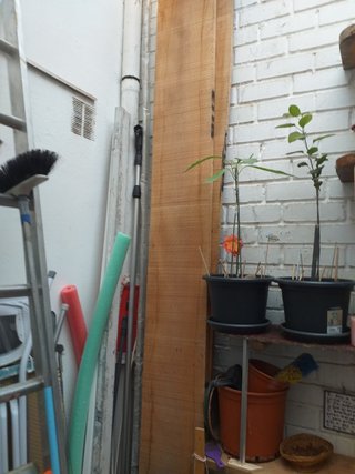 Tablas de Haya