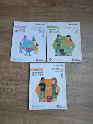 Lote de libros. Sexto de primaria.