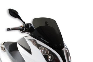Cúpula Malossi Kymco 125 (Varios Años)